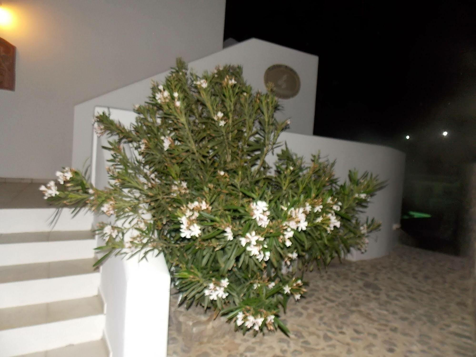 Lavarock Santorini 佩里萨 外观 照片